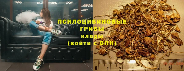 мет Зеленодольск